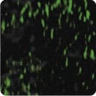 Aurora Camo (T36)