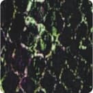 Serpent Camo (T61)